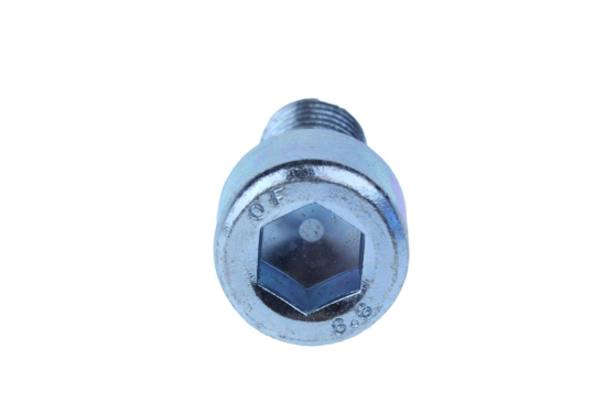 BINN ZESKANT BOUT 8.8 DIN912 ELECT VERZ M5X20 5ST
