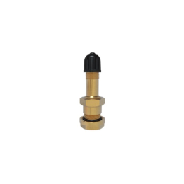 V3.20.1 TRUCK VENTIEL RECHT 9,7MM  LENGTE=36MM 1ST