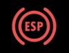 Storing ESP systeem dashboard lampje