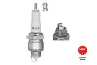 Bougie