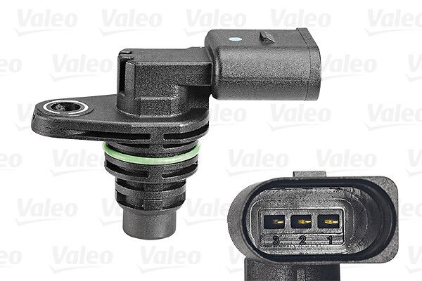 Nokkenassensor