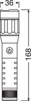 Looplamp