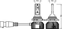 Gloeilamp
