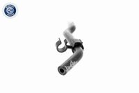 Radiateurslang