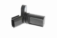 Krukassensor