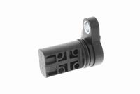 Krukassensor