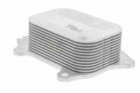 Oliekoeler, motorolie