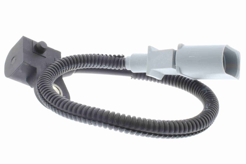 Nokkenassensor