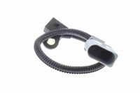 Nokkenassensor