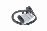 Nokkenassensor
