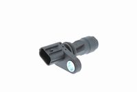 Krukassensor