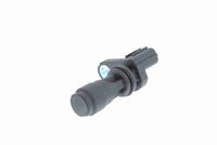 Krukassensor