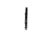 Poly V-riem