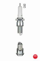 Bougie