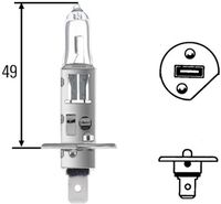Gloeilamp