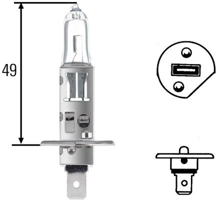 Gloeilamp