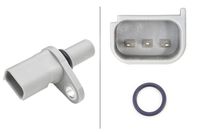Nokkenassensor