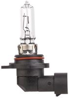 Gloeilamp