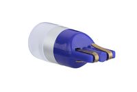 Gloeilamp, interieurverlichting