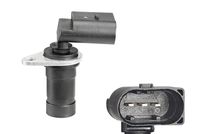 Krukassensor