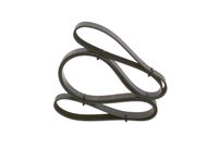 Poly V-riem