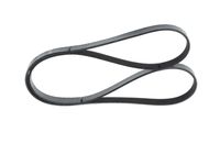 Poly V-riem
