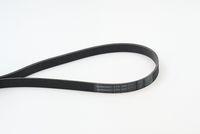 Poly V-riem