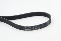 Poly V-riem