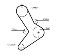 Distributieriemset
