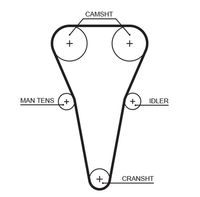 Distributieriemset