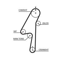 Distributieriemset