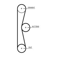 Distributieriemset