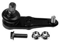 Fuseekogel