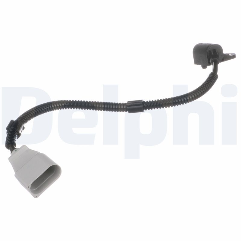 Nokkenassensor