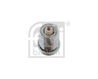 Bougie