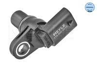 Nokkenassensor