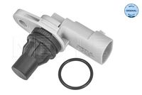 Nokkenassensor
