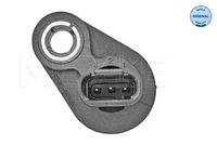 Nokkenassensor