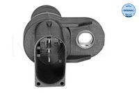 Nokkenassensor