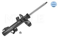 Schokdemper