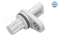 Nokkenassensor