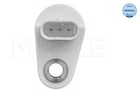 Nokkenassensor