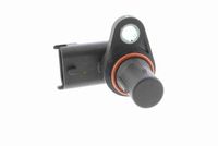 Nokkenassensor