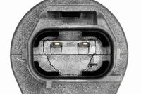Krukassensor
