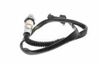 Lambdasonde