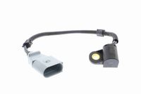 Nokkenassensor