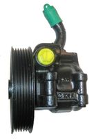 Servo pomp