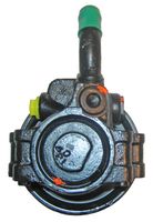 Servo pomp