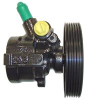Servo pomp