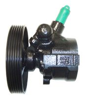 Servo pomp
